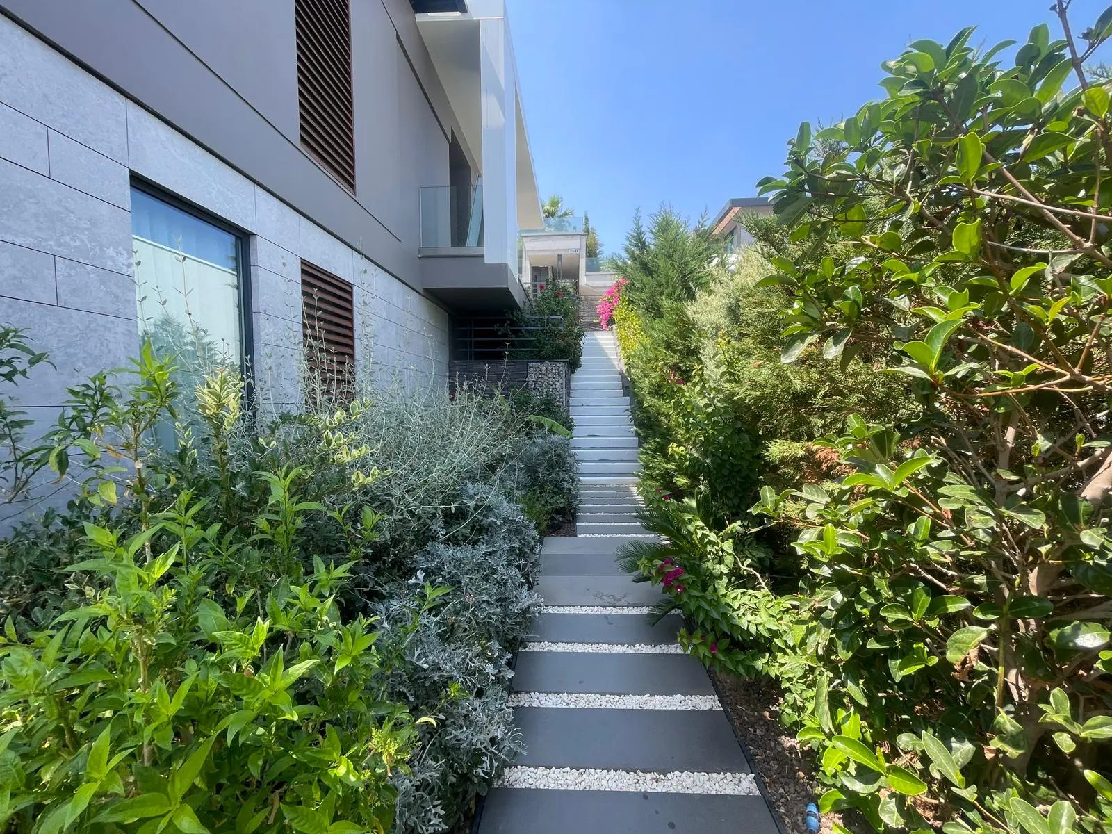 Garden area